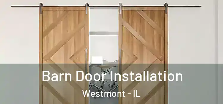  Barn Door Installation Westmont - IL