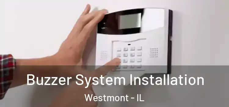 Buzzer System Installation Westmont - IL