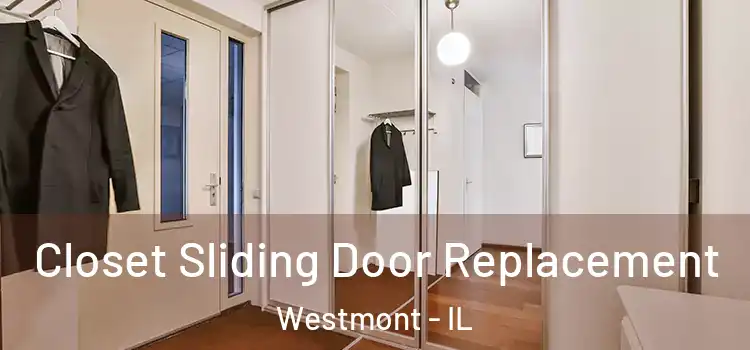 Closet Sliding Door Replacement Westmont - IL