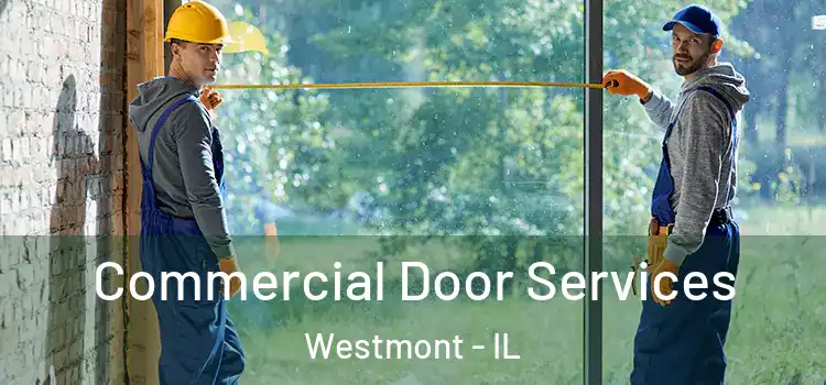 Commercial Door Services Westmont - IL