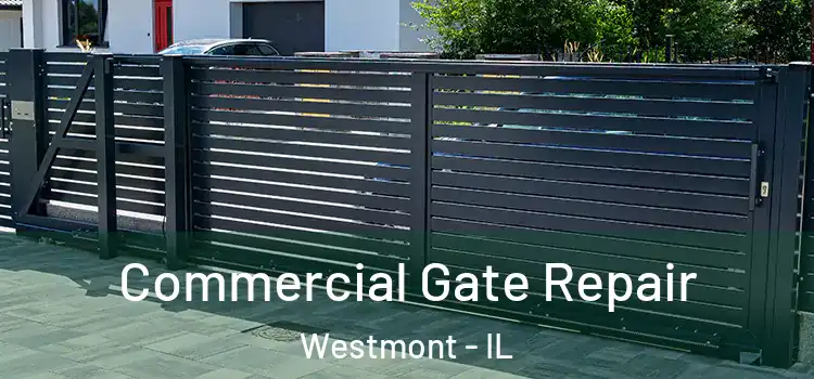 Commercial Gate Repair Westmont - IL