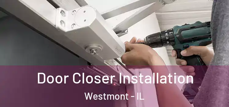  Door Closer Installation Westmont - IL