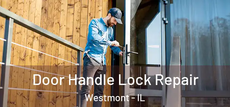  Door Handle Lock Repair Westmont - IL