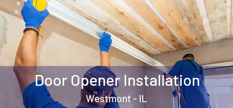 Door Opener Installation Westmont - IL