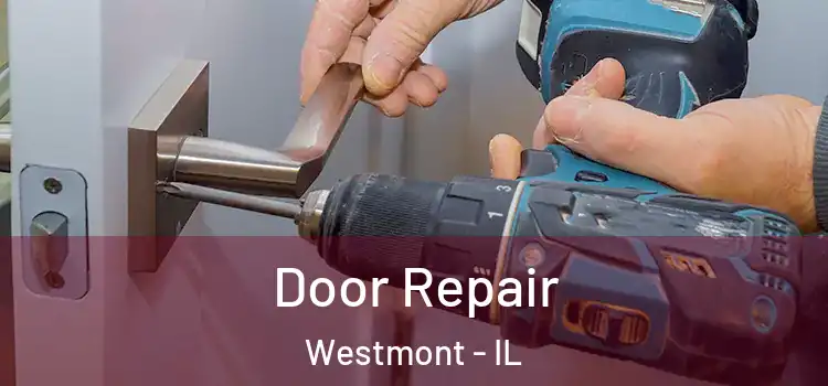 Door Repair Westmont - IL
