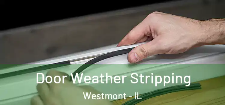  Door Weather Stripping Westmont - IL