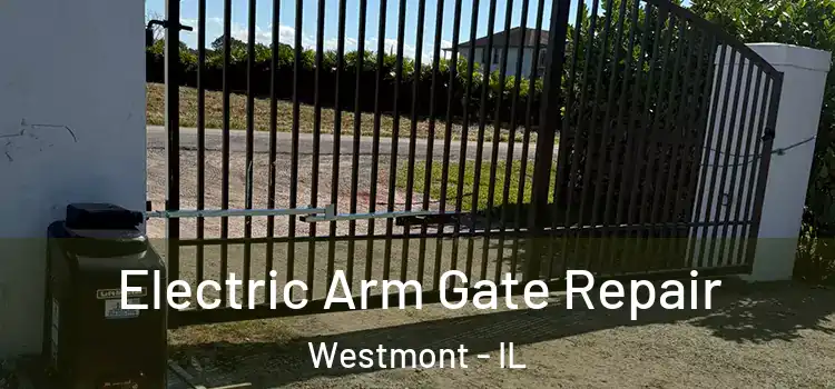  Electric Arm Gate Repair Westmont - IL