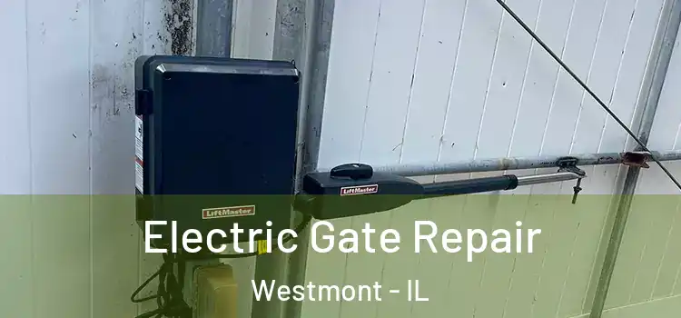 Electric Gate Repair Westmont - IL