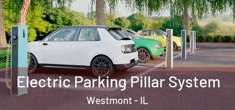 Electric Parking Pillar System Westmont - IL