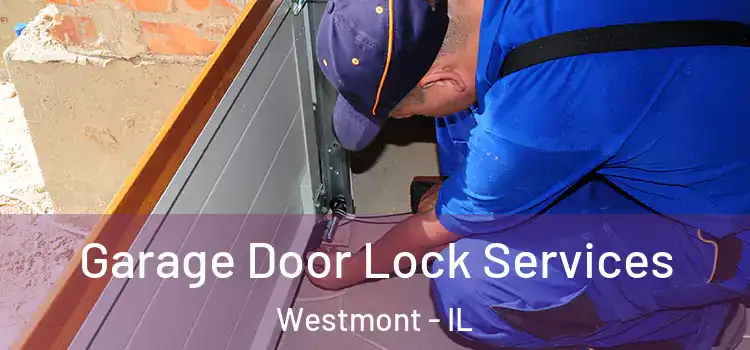 Garage Door Lock Services Westmont - IL