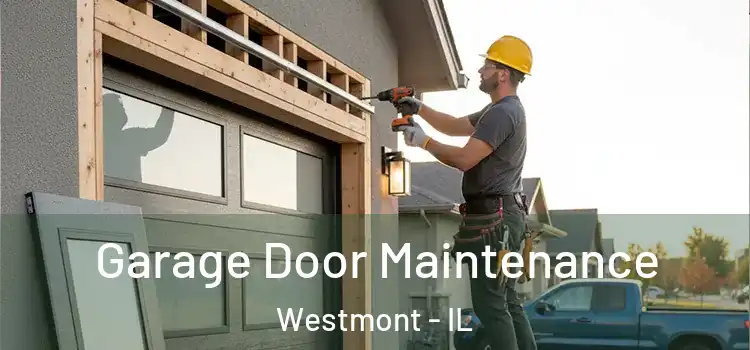 Garage Door Maintenance Westmont - IL