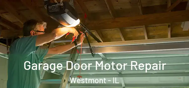  Garage Door Motor Repair Westmont - IL