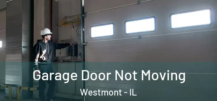  Garage Door Not Moving Westmont - IL