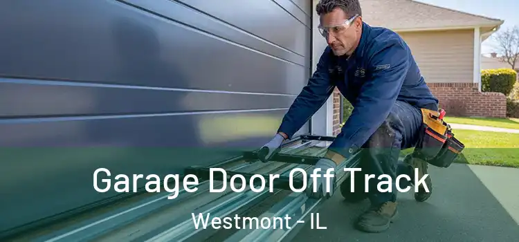  Garage Door Off Track Westmont - IL