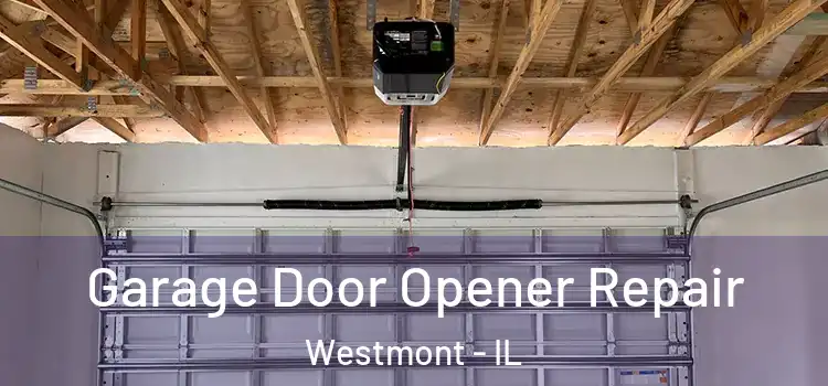  Garage Door Opener Repair Westmont - IL