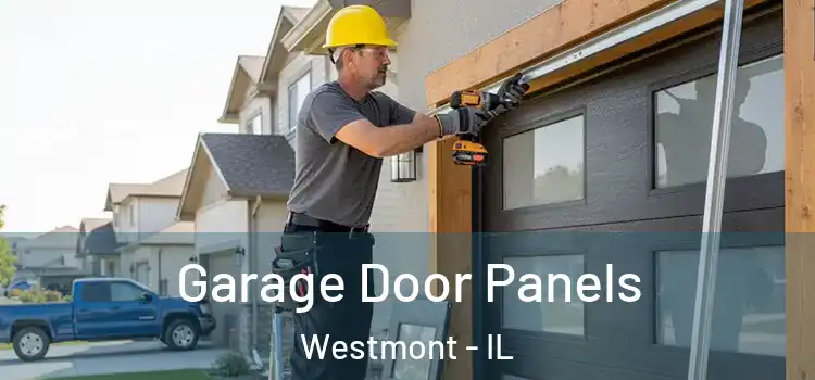  Garage Door Panels Westmont - IL