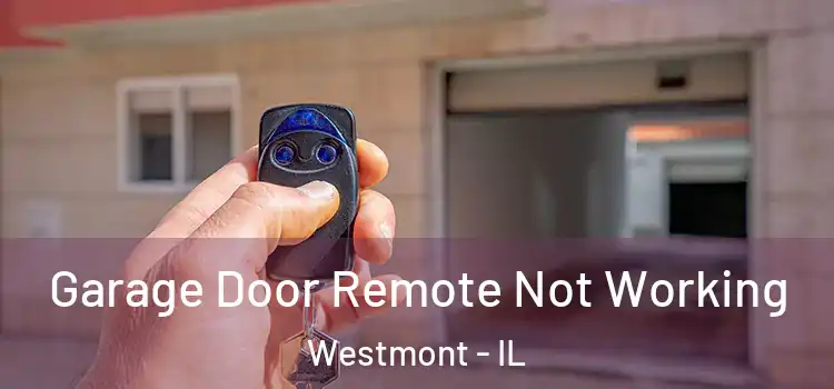  Garage Door Remote Not Working Westmont - IL