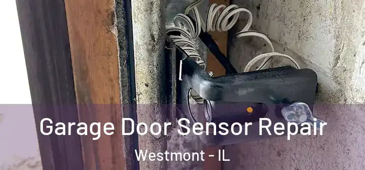  Garage Door Sensor Repair Westmont - IL