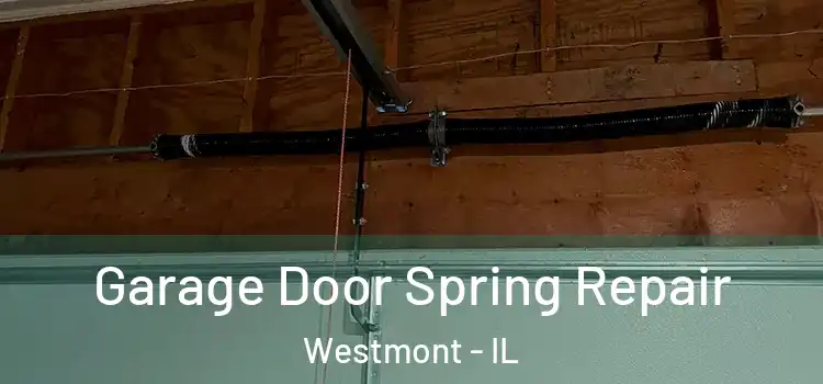  Garage Door Spring Repair Westmont - IL