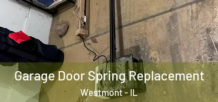  Garage Door Spring Replacement Westmont - IL