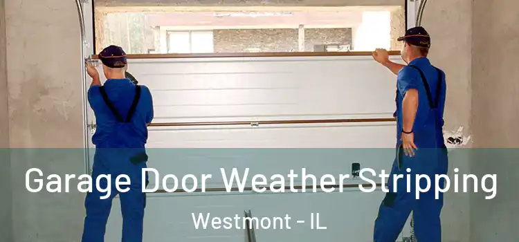  Garage Door Weather Stripping Westmont - IL