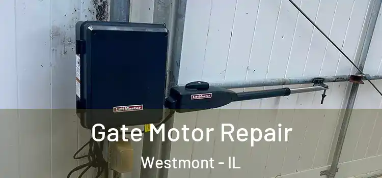  Gate Motor Repair Westmont - IL