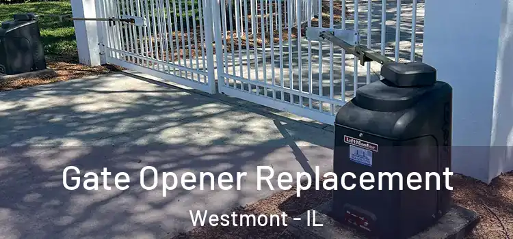 Gate Opener Replacement Westmont - IL