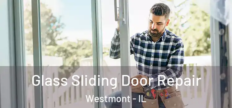  Glass Sliding Door Repair Westmont - IL