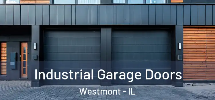  Industrial Garage Doors Westmont - IL