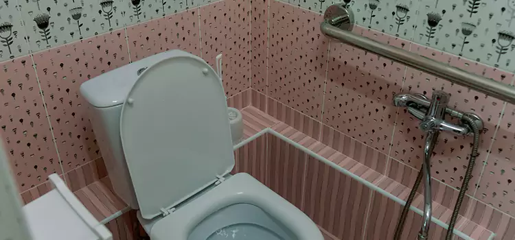 Meeting Diverse Needs With Accessible Restroom Solutions in Westmont, IL