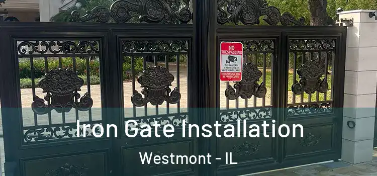 Iron Gate Installation Westmont - IL