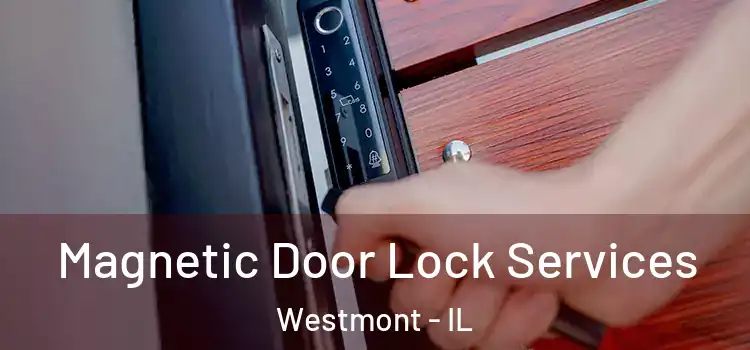 Magnetic Door Lock Services Westmont - IL