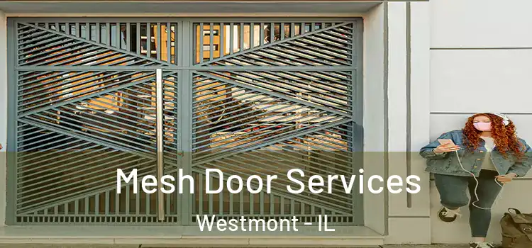  Mesh Door Services Westmont - IL