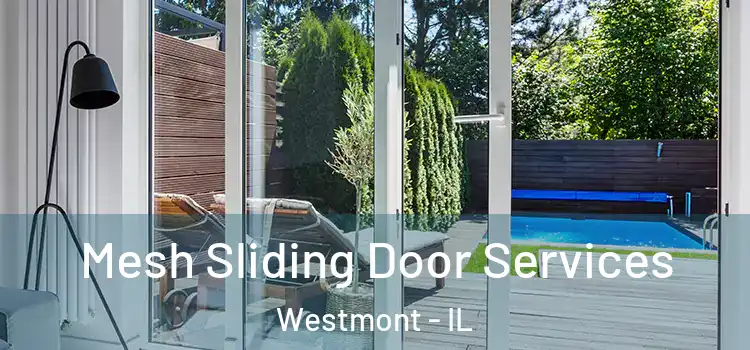 Mesh Sliding Door Services Westmont - IL