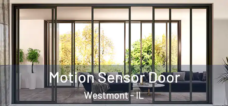 Motion Sensor Door Westmont - IL