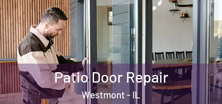 Patio Door Repair Westmont - IL