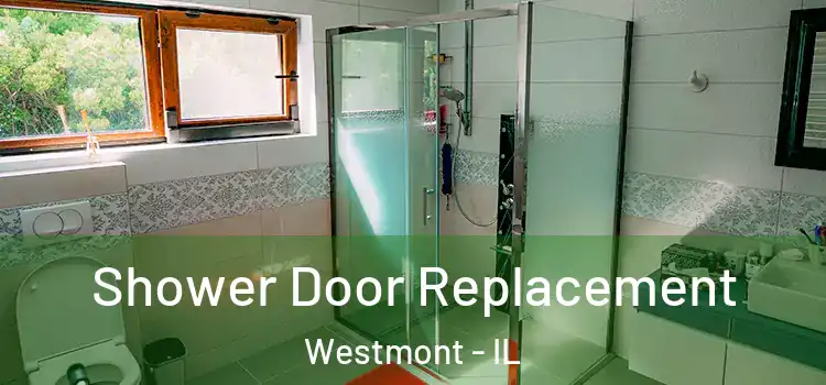 Shower Door Replacement Westmont - IL