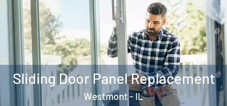  Sliding Door Panel Replacement Westmont - IL