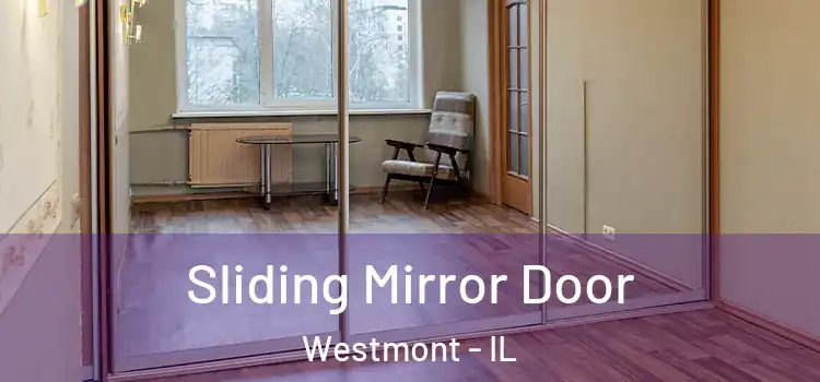  Sliding Mirror Door Westmont - IL
