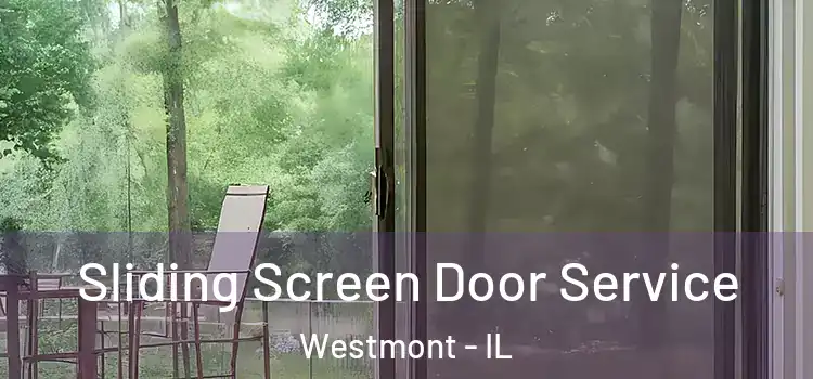 Sliding Screen Door Service Westmont - IL