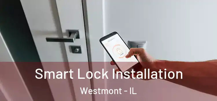 Smart Lock Installation Westmont - IL