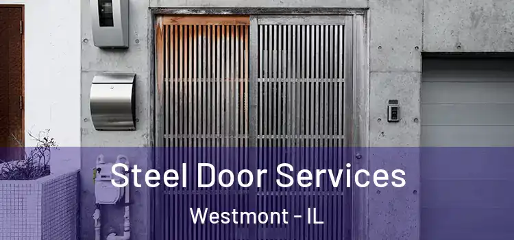  Steel Door Services Westmont - IL